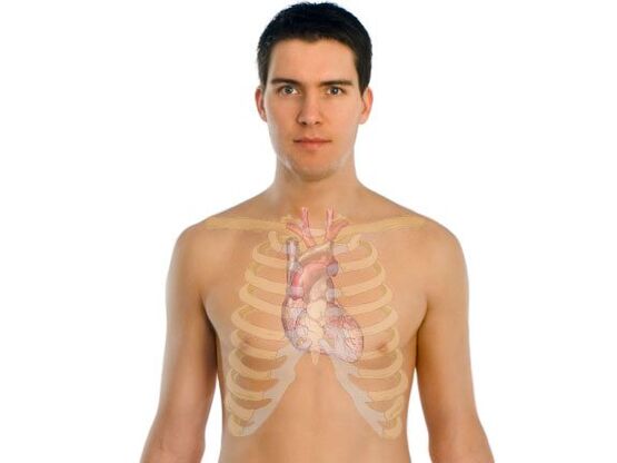 kā parazīti ietekmē cilvēka orgānus