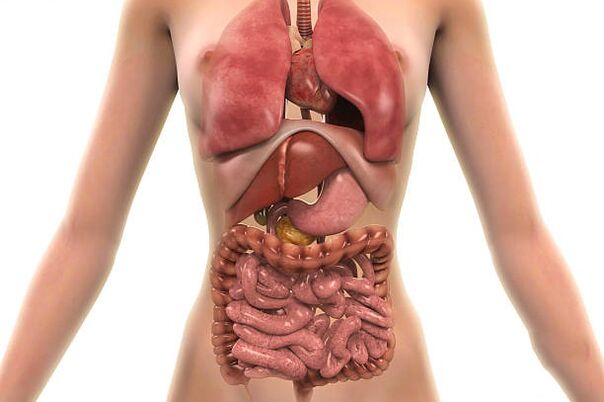 parazīti cilvēka organismā