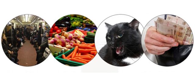 parazītu infekcijas metodes